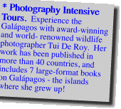 * Photography Intensive Tours. 