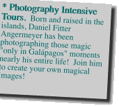 * Photography Intensive Tours. 