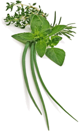 Herbal Health